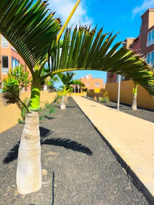 Apartamento Casa Bamboo Corralejo, Espacioso, Piscina Y Parking المظهر الخارجي الصورة