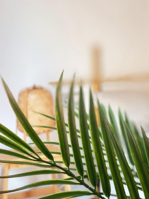 Apartamento Casa Bamboo Corralejo, Espacioso, Piscina Y Parking المظهر الخارجي الصورة