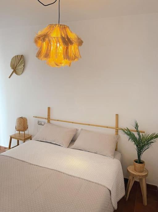 Apartamento Casa Bamboo Corralejo, Espacioso, Piscina Y Parking المظهر الخارجي الصورة