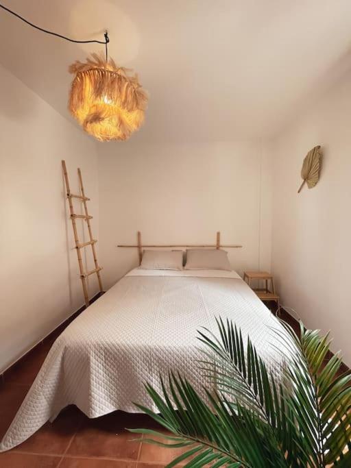 Apartamento Casa Bamboo Corralejo, Espacioso, Piscina Y Parking المظهر الخارجي الصورة