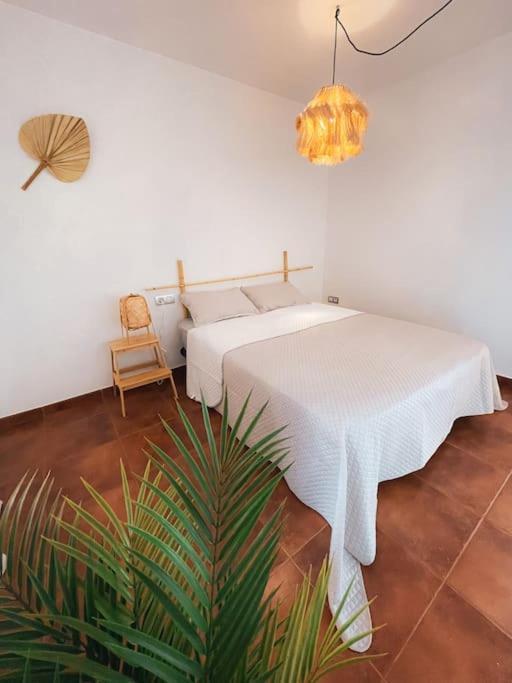 Apartamento Casa Bamboo Corralejo, Espacioso, Piscina Y Parking المظهر الخارجي الصورة