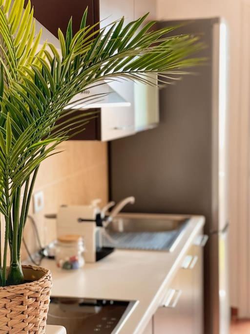 Apartamento Casa Bamboo Corralejo, Espacioso, Piscina Y Parking المظهر الخارجي الصورة